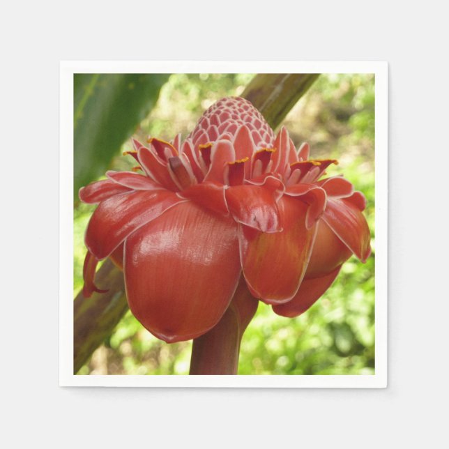 Serviette En Papier Red Torch Ginger Tropical Flower Photographie (Devant)