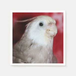 Serviette En Papier Reeples
