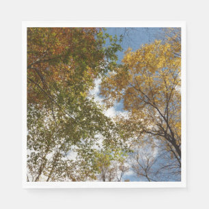 Serviette En Papier Regard sur les feuilles d'automne II Automne Natur