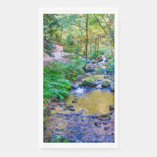 Serviette En Papier Rego da armenteira