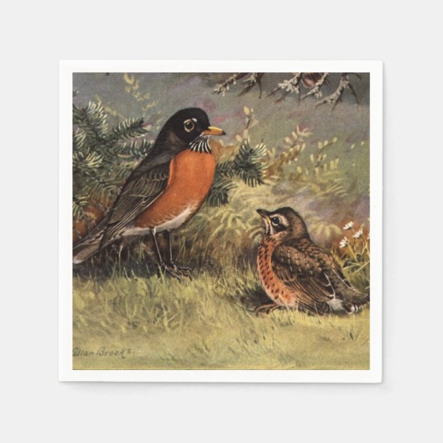 Serviette En Papier Robins américains de Brooks (Devant)