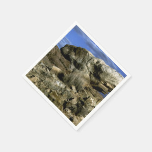 Serviette En Papier Roche de champignons