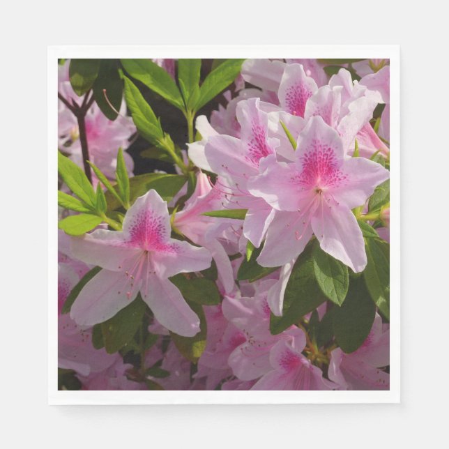 Serviette En Papier Rose Azalea Bush printemps floral (Devant)