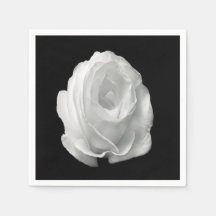 rose-blanche-sur-le-fond-noir