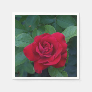 Serviette En Papier Rose rouge de près