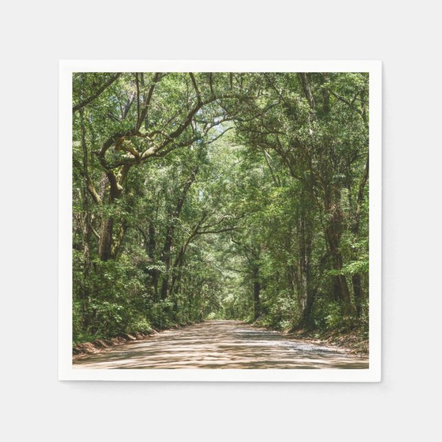 Serviette En Papier Route Vers Angel Oak (Devant)