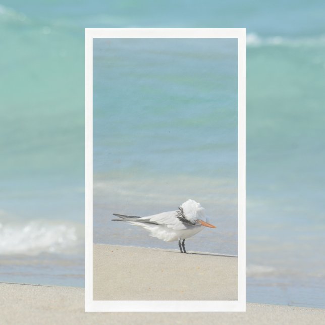 Serviette En Papier Royal Tern on Beach Photos d'oiseaux marins (Créateur téléchargé)