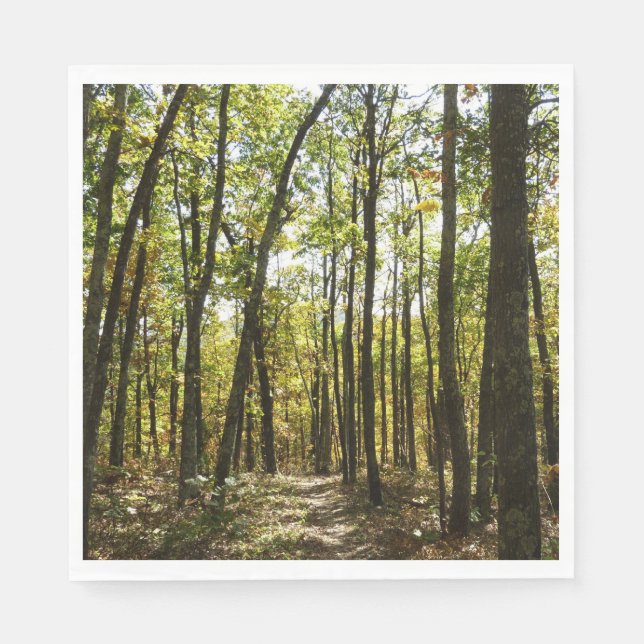 Serviette En Papier Sentier des Appalaches en octobre à Shenandoah (Devant)