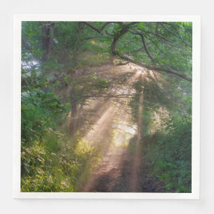 Serviette En Papier sentier forestier