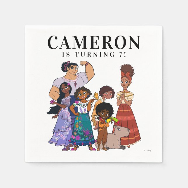 Serviette En Papier Serviettes d'anniversaire Encanto (Devant)