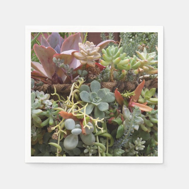 Serviette En Papier Serviettes succulentes (Devant)