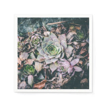 Serviettes succulentes