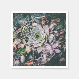 Serviette En Papier Serviettes succulentes
