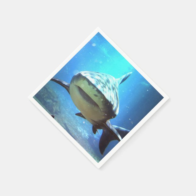 Serviette En Papier shark-5.jpg (Coin)