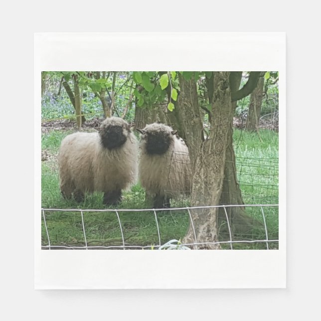 Serviette En Papier Sheep Picture (Devant)