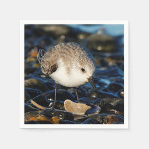 Serviette En Papier Shorebird Dines on Clam