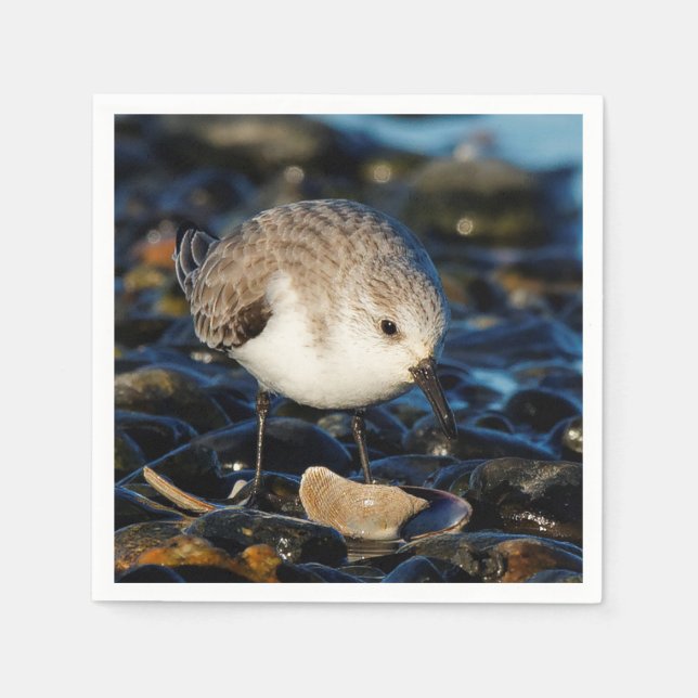 Serviette En Papier Shorebird Dines on Clam (Devant)