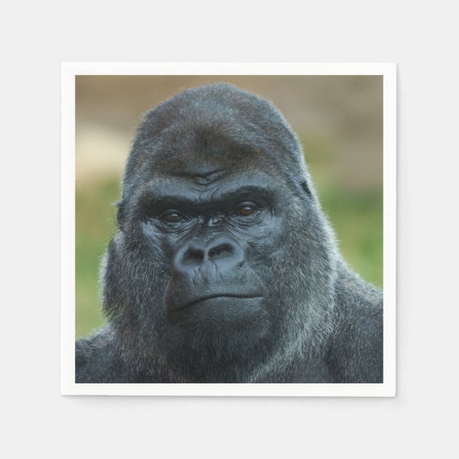 Serviette En Papier Silverback (Devant)