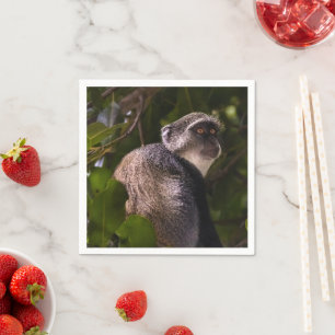 Serviette En Papier Singe bleu, Zanzibar