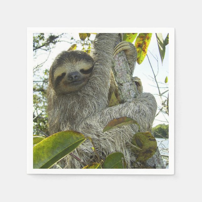 Serviette En Papier Sloth (Devant)