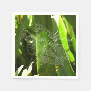 Serviette En Papier Spiderweb dans Tropical Leaves Nature