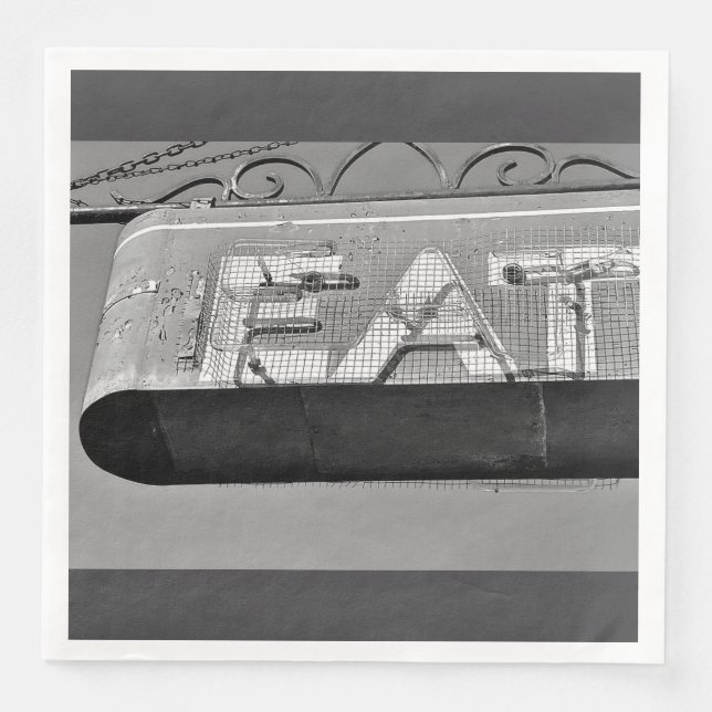 Serviette En Papier Standard Dinner Napkin (Devant)