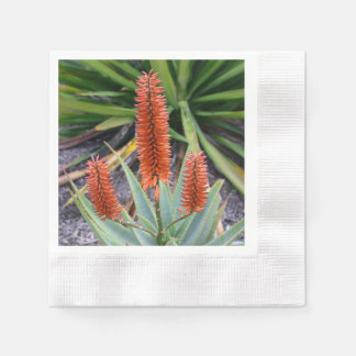 Serviette En Papier Succulent Cocktail serviettes