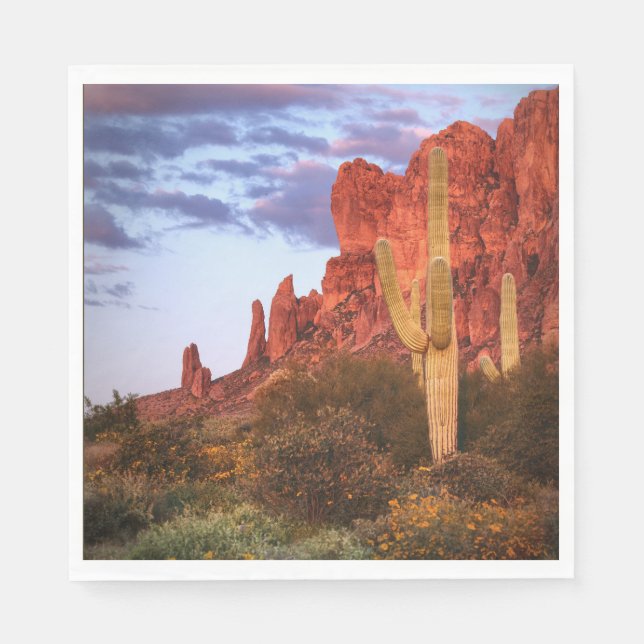 Serviette En Papier Sunset Desert Arizona State (Devant)