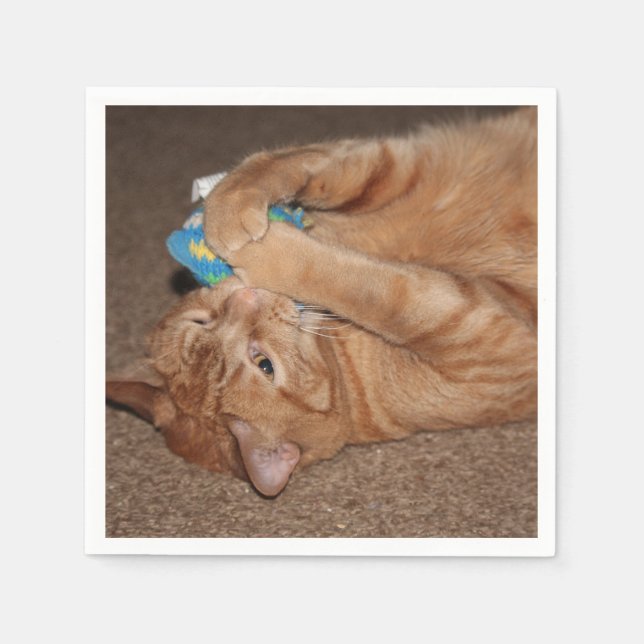 Serviette En Papier Tater (Devant)