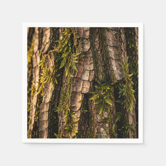 Serviette En Papier Texture de l'écorce d'arbre forestier moussu
