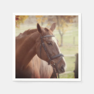 Serviette en papier thème cheval Elegant Fall