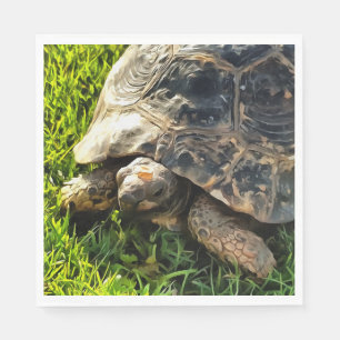 Serviette En Papier Tortue Sauvage Dans L'Herbe Pré Art De La Faune