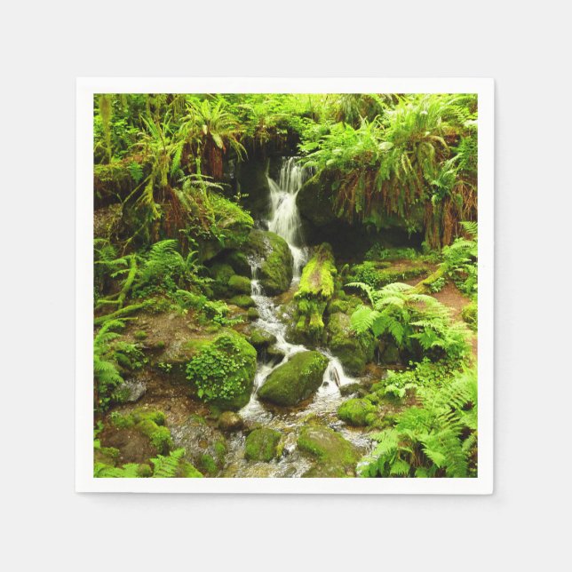 Serviette En Papier Trillium Falls (Devant)