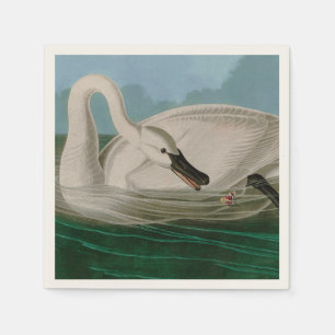 Serviette En Papier Trumpeter Swan Birds of America Audubon Print