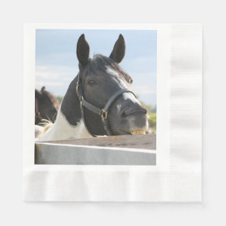 Serviette En Papier Un mignon Cheval à mâcher sur une clôture