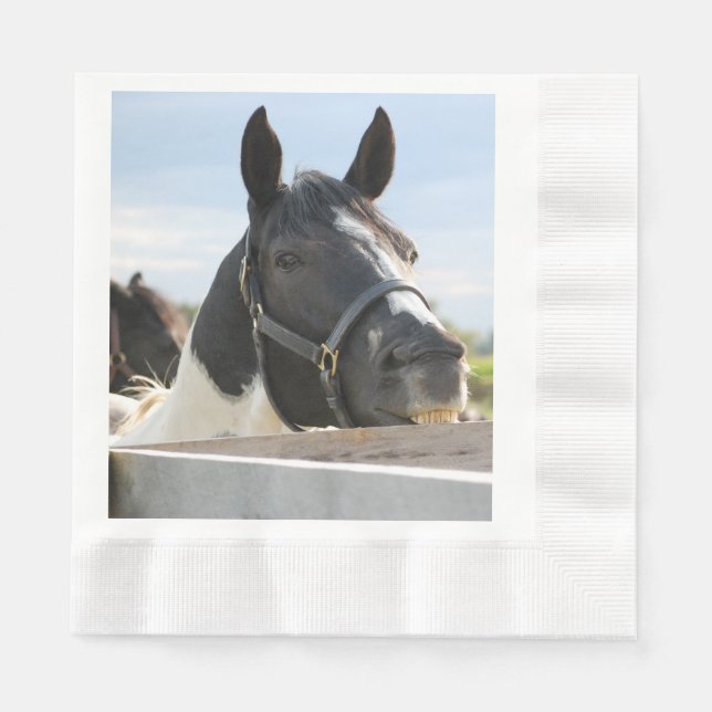 Serviette En Papier Un mignon Cheval à mâcher sur une clôture (Devant)