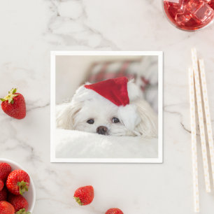 Serviette En Papier Un mignon chien blanc dans un Casquette de Noël ro