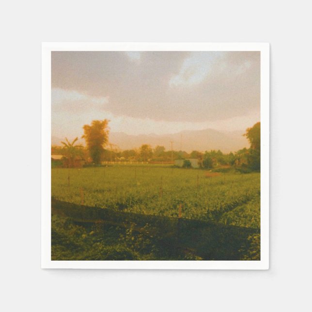 Serviette En Papier Vang Vieng - Laos (Devant)