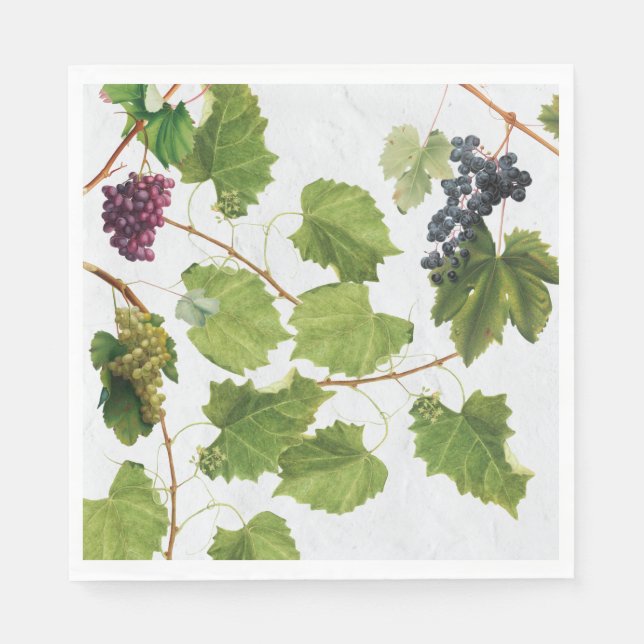 Serviette En Papier Vignoble de raisins Ile grecque méditerranéenne (Devant)