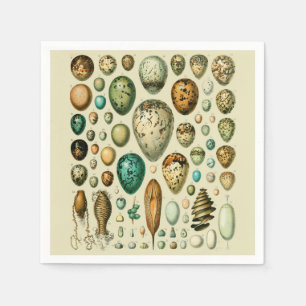 Serviette En Papier Vintage Bird Eggs French Fish Egg