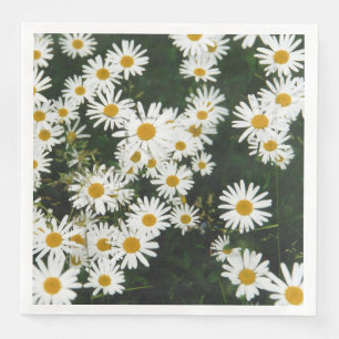 Serviette En Papier White Oxeye Daisy Meadow