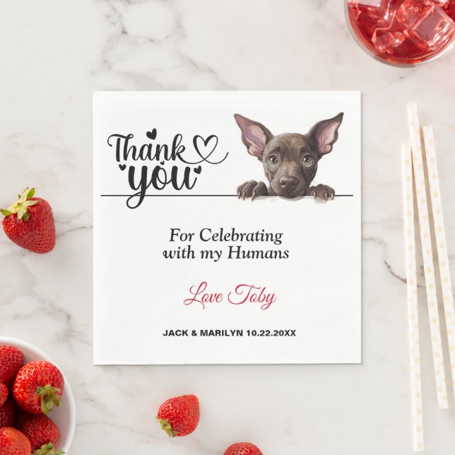 Serviette En Papier Xoloitzcuinti Peeking Chien Papier serviettes (En situation)