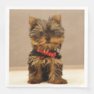 Serviette En Papier Yorkshire Terrier