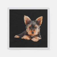 Yorkshire terrier Yorkie Chien chiot