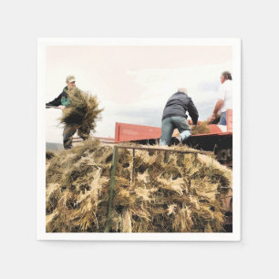 SERVIETTE JETABLE AGRICULTURE