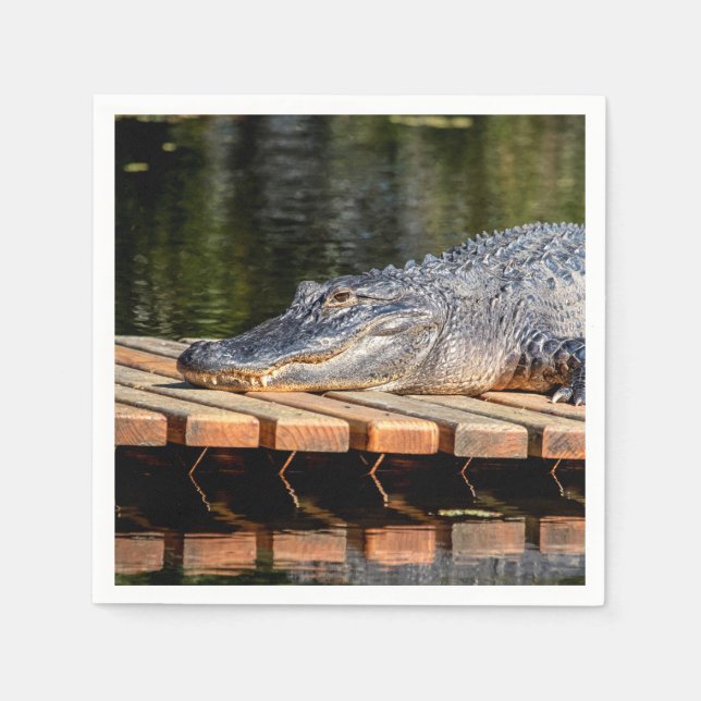 Serviette Jetable Alligator at Homosassa Springs Wildlife State Park (Devant)