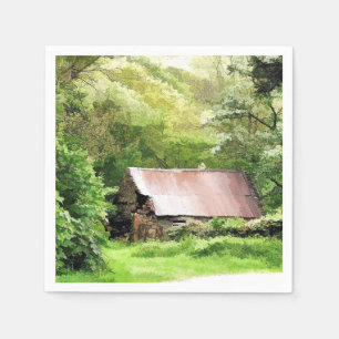 SERVIETTE JETABLE ANCIENNES FOSSES