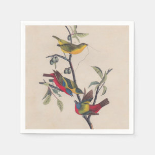 Serviette Jetable Audubon Peint Bunting Bird Wildlife