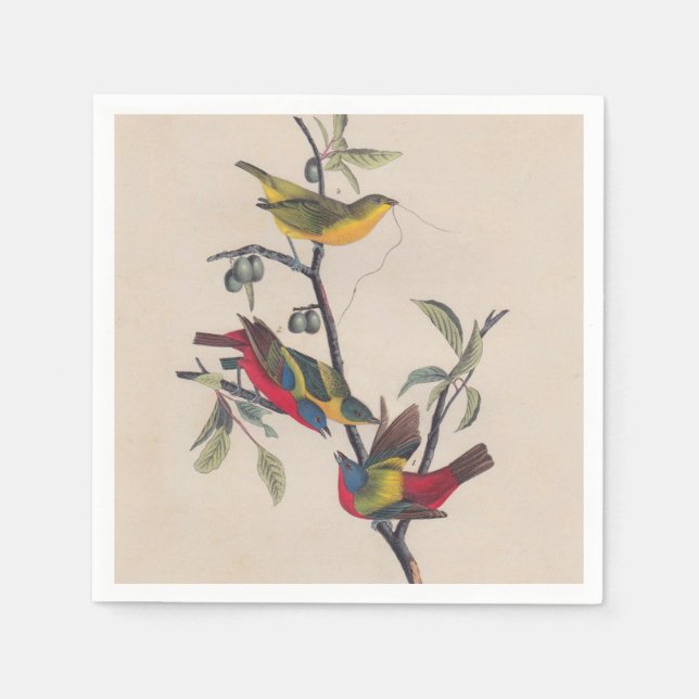 Serviette Jetable Audubon Peint Bunting Bird Wildlife (Devant)
