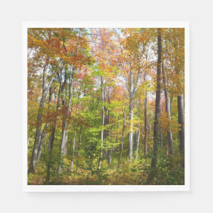 Serviette Jetable Automne Forêt I Automne Paysage Photographie